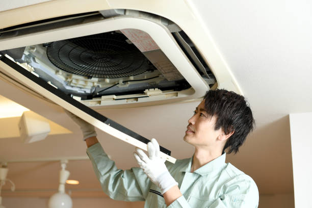 Best Air Duct Mold Removal  in Camp Swift, TX