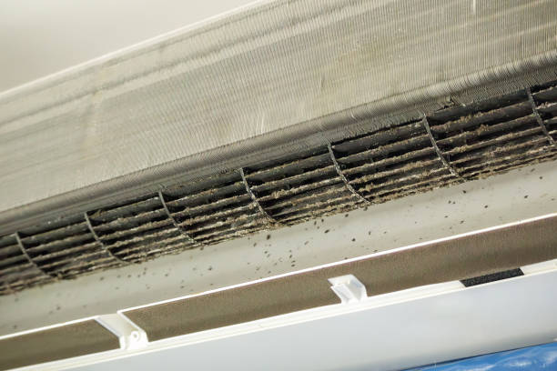 Air Duct Mold Removal in Camp Swift, TX